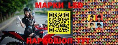 прущие крисы Шелехов