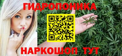 прущие крисы Шелехов