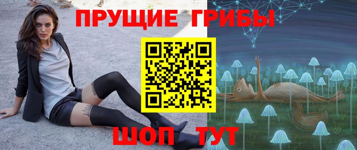 Алейск  Галлюциногенные грибы Magic Shrooms  купить   Вход с VPN 