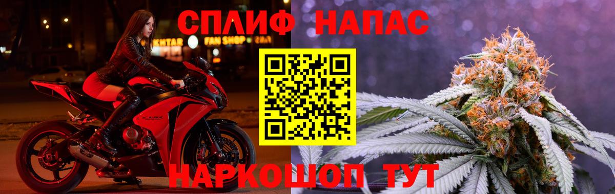 Канабис сатива Алейск